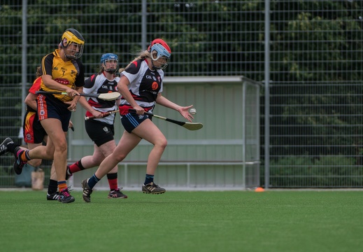 2018-07-14 Hurling Tournament Hamburg